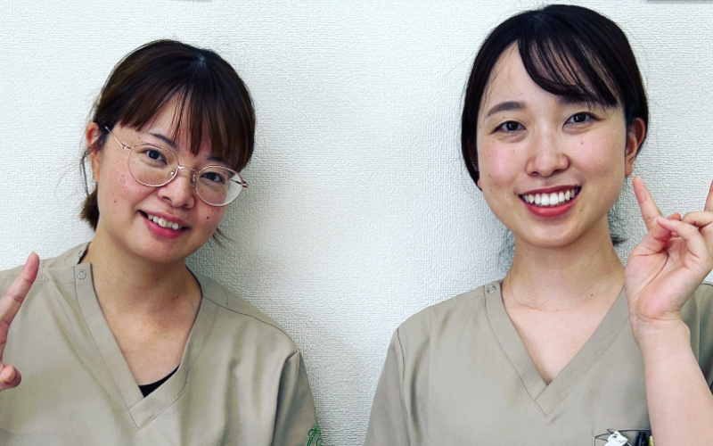 新しい仲間が加わりました